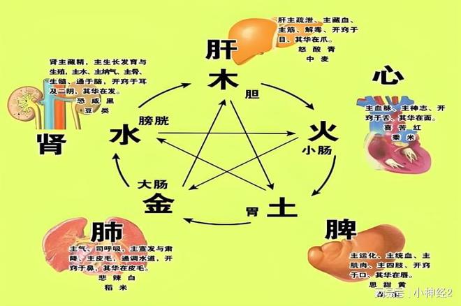 ҽɭΪθøСЧѣ(ͼ2)